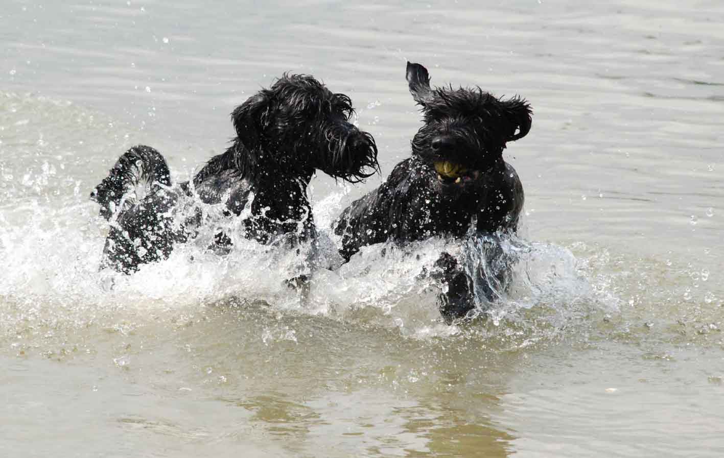 Virgie en Dunja in Busloo